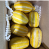 [대박특가] 성주 참외 5kg 랜덤 혼합과