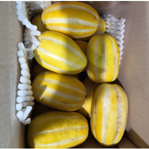 [대박특가] 성주 참외 5kg 랜덤 혼합과